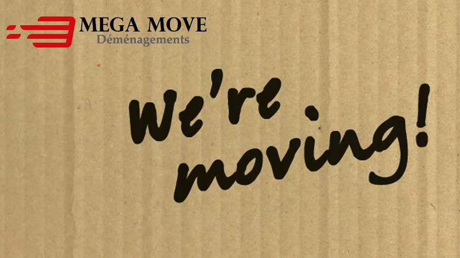 Mega Move the cheap mover from Brussels, Ixelles, uccle, woluwe, schaerbeek
